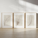 Abstract pictures in neutral colors set (3 Frames) – Wall frame set by Beitouti