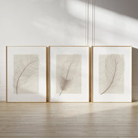 Abstract pictures in neutral colors set (3 Frames) – Wall frame set by Beitouti