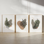 fancy  set   (3 Frames)