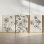 Muted Dreem set   (3 Frames)