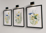 Modern colors (3 Frames) – Wall frame set by Beitouti