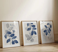 Blue serenity set (3 Frames) – Wall frame set by Beitouti
