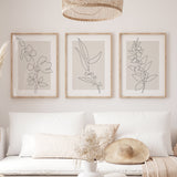 Linear Bloom set (3 Frames)