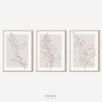 Linear Bloom set (3 Frames)