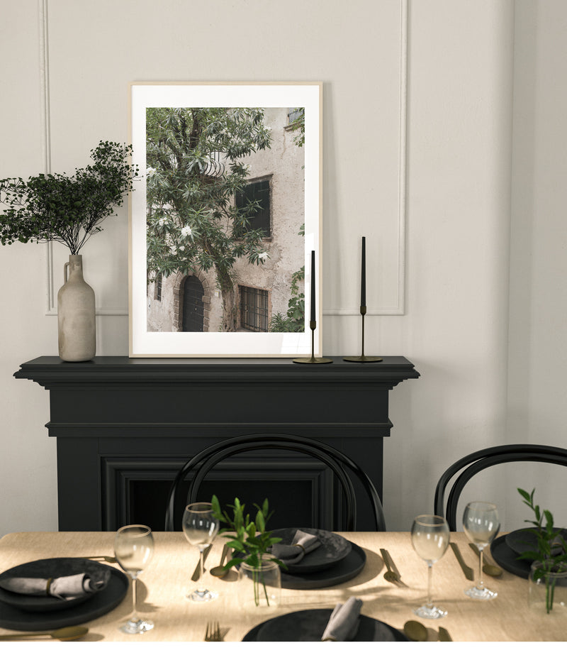 Olive & Stone set (3 Frames)