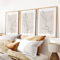 Linear Bloom set (3 Frames)