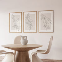 Linear Bloom set (3 Frames)