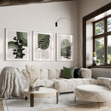 Green beauty (3 Frames) – Wall frame set by Beitouti