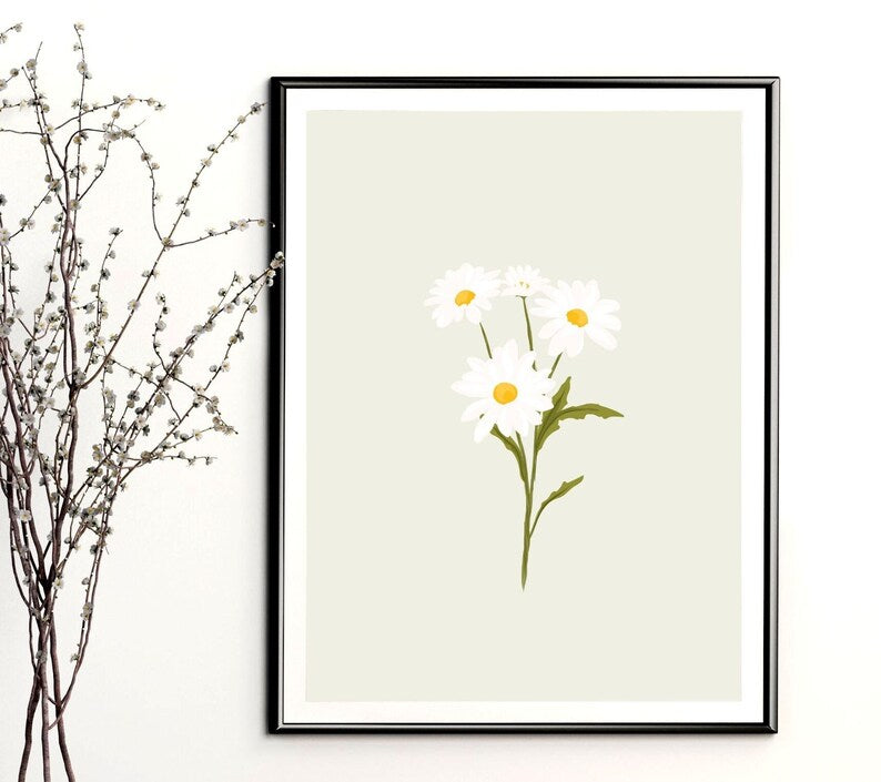 Soft Daisy