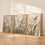 The Quiet Garden(3 Frames)