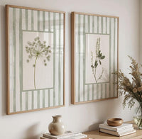 Wild Stem Collection(3 Frames)