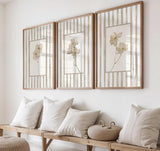 Wild Stem Collection(3 Frames)