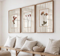 Wild Stem Collection(3 Frames)