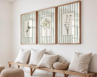 Wild Stem Collection(3 Frames)