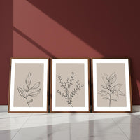 Roots (3 Frames)