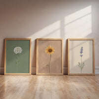 Soft Line (3 Frames)